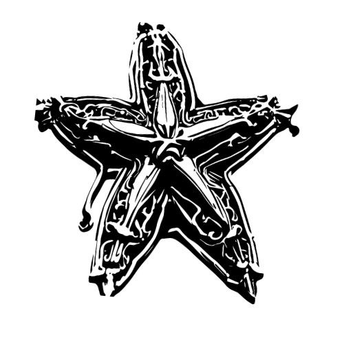 StarrySoulsco